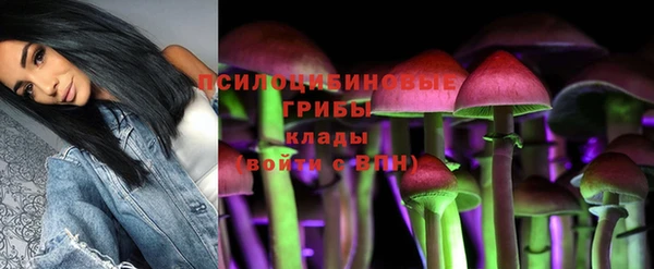 молекула духа Алексин