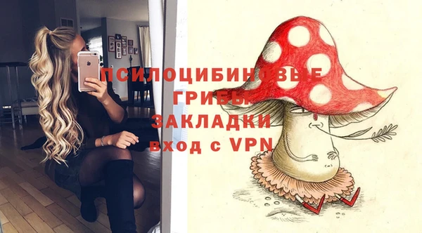 молекула духа Алексин
